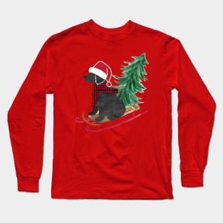 Labradoodle Christmas Sled Bringing Home The Tree Long Sleeve T-Shirt